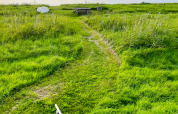 Chemin herbeux menant à une table de pique-nique au « 6 person holiday home in Bogense », Danemark.
