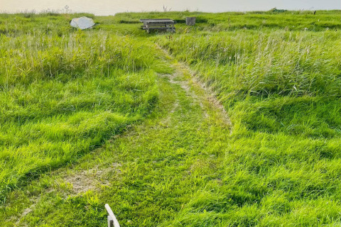 Rasenweg durch hohes Gras zu einem Picknicktisch bei „6-Personen-Ferienhaus in Bogense“, Dänemark.