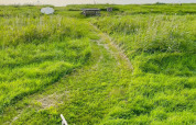 Grasweg door weelderig groen naar picknicktafel bij '6 persoons vakantiehuis in Bogense', Denemarken.
