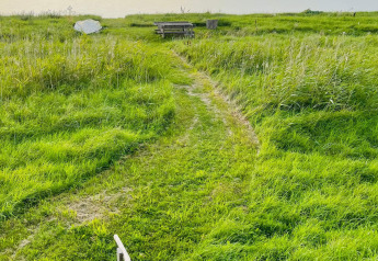 Chemin herbeux menant à une table de pique-nique au « 6 person holiday home in Bogense », Danemark.
