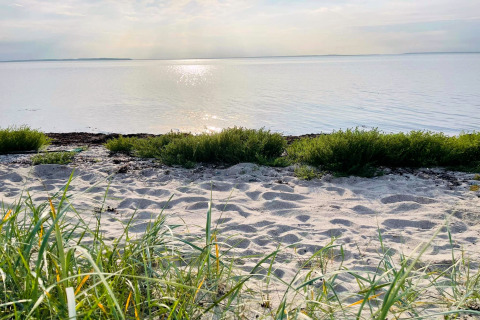 Vue sur la plage ensoleillée avec sable, herbe et eau calme près d’un gîte à Bogense, au Danemark.