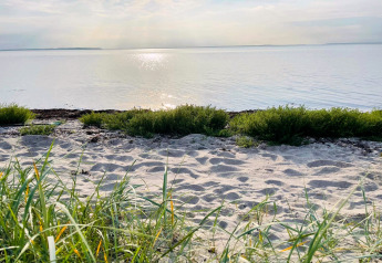 Sunny beach view with sand, grass, and calm water at 6 person holiday home in Bogense, Denmark.
