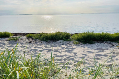 Zonnig strand met zand, gras en kalm water bij 6-persoons vakantiehuis in Bogense, Denemarken.