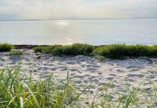 Zonnig strand met zand, gras en kalm water bij 6-persoons vakantiehuis in Bogense, Denemarken.