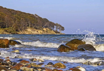 Costa rocosa y oleaje junto al bosque cerca de una casa de vacaciones en Bogense, Dinamarca.