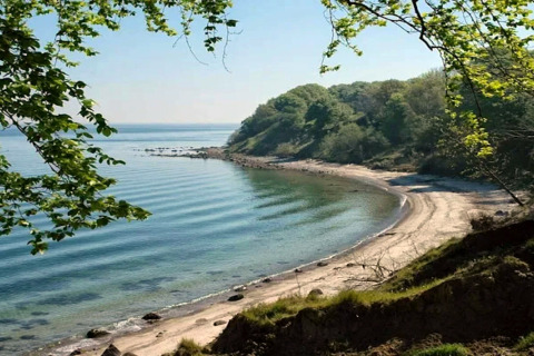 Vue sur une baie paisible avec plage de sable et forêt depuis un gîte 6 personnes à Bogense, Danemark.
