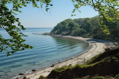Udsigt over en fredelig bugt med sandstrand og skovområde, set fra 6 personers feriehus i Bogense, Danmark.