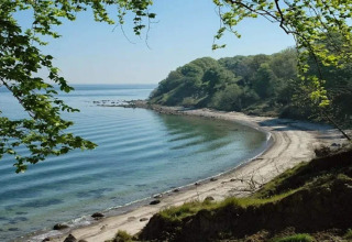 Blick auf eine ruhige Bucht mit Sandstrand und Bäumen, nahe einem 6-Personen-Ferienhaus in Bogense, Dänemark.