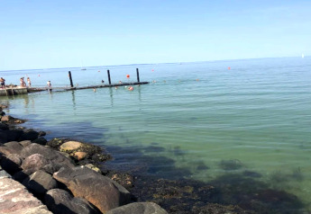 Photo d'une jetée et de personnes nageant en mer près d'un gîte 6 personnes à Bogense, Danemark.