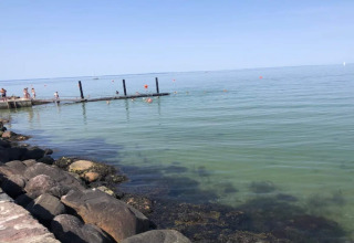 Billede af en badebro og mennesker, der svømmer i havet ved 6 personers feriehus i Bogense, Danmark.
