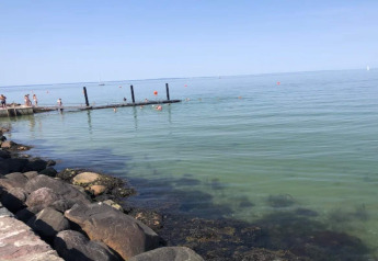 Foto de un muelle y personas nadando en el mar cerca de una casa vacacional para 6 en Bogense, Dinamarca.