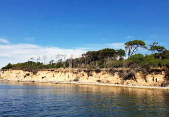 Vue côtière avec falaises et arbres près de l'eau à Bogense, Danemark, vue depuis la maison de vacances.