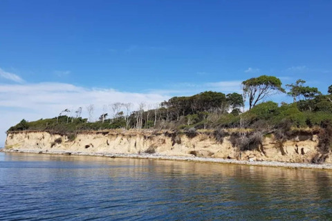Kustzicht met kliffen en bomen aan het water nabij Bogense, Denemarken, vanaf het vakantiehuis genomen.