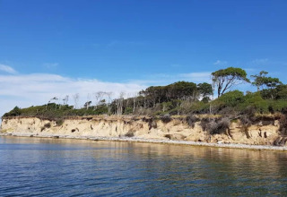 Kustzicht met kliffen en bomen bij het water nabij Bogense, Denemarken, gezien vanaf het vakantiehuis.