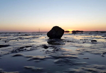 Roche sur un rivage peu profond au coucher du soleil, vue depuis une maison de vacances à Bogense, Danemark.