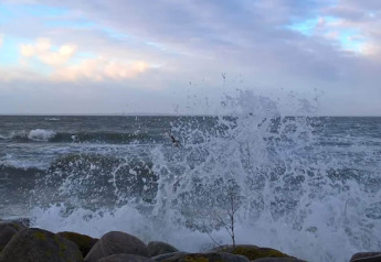 Vagues frappant les rochers près d'une maison de vacances pour 6 personnes à Bogense, Danemark, sous un ciel clair.