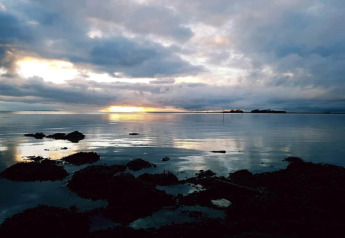 Zonsondergang boven kalme zee aan de rotskust, gezien vanuit een 6-persoons vakantiewoning in Bogense, Denemarken.