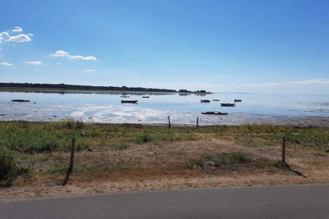 Uitzicht op rustig water met kleine bootjes bij het 6-persoons vakantiehuis in Bogense, Denemarken.