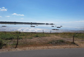 Zicht op kalm water met kleine bootjes bij het 6-persoons vakantiehuis in Bogense, Denemarken.