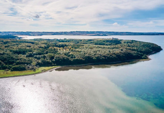 View of peaceful coastline and lush forest near 4 star holiday home in Rønde, Denmark, under blue sky.