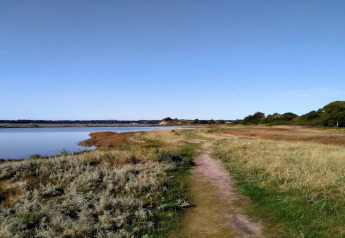 Sti langs en rolig sø og græsarealer, taget ved ferieboligen '4 star holiday home in Rønde', Danmark.
