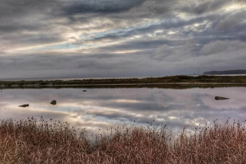 Vista de agua tranquila reflejando nubes en casa de vacaciones 4 estrellas en Rønde, Dinamarca.