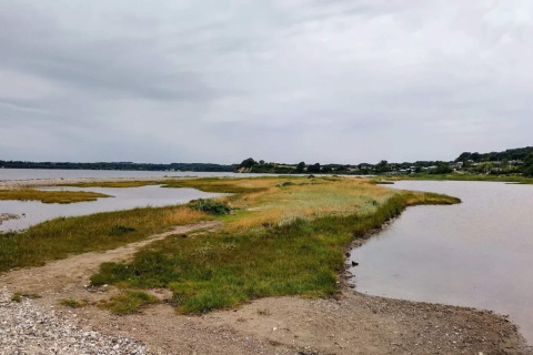 Paysage tranquille de marais avec herbe, eau et maisons au loin à Rønde, Danemark, sous un ciel nuageux.
