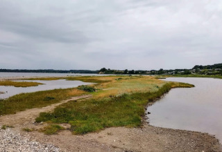 Paysage tranquille de marais avec herbe, eau et maisons au loin à Rønde, Danemark, sous un ciel nuageux.