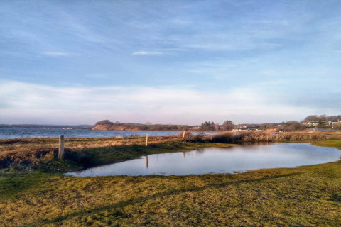 Mooi uitzicht aan een viersterren vakantiewoning in Rønde, Denemarken met vijver en groene velden.