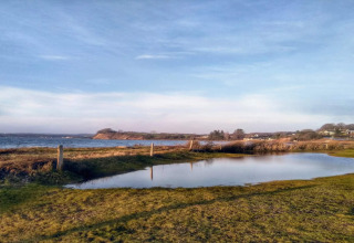 Landschaft am 4-Sterne-Ferienhaus in Rønde, Dänemark mit Teich, Wiese und ruhigem Himmel im Hintergrund.