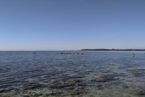 Zicht op roeiers en mensen in het water bij 4-sterren vakantiehuis in Rønde, Denemarken, op een heldere dag.