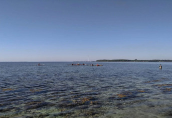 Blick auf Ruderer und Personen im Wasser nahe dem 4-Sterne-Ferienhaus in Rønde, Dänemark, an einem klaren Tag.