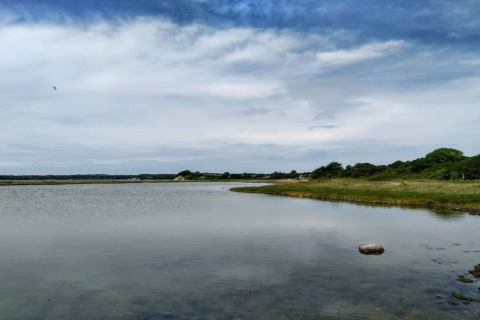 Udsigt over fredelig sø og grønne omgivelser nær 4-stjernet feriehus i Rønde, Danmark, under blå himmel.