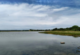 Vue sur un lac paisible et des rives vertes près d'une maison de vacances 4 étoiles à Rønde, Danemark.
