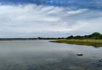 Vue sur un lac paisible et des rives vertes près d'une maison de vacances 4 étoiles à Rønde, Danemark.