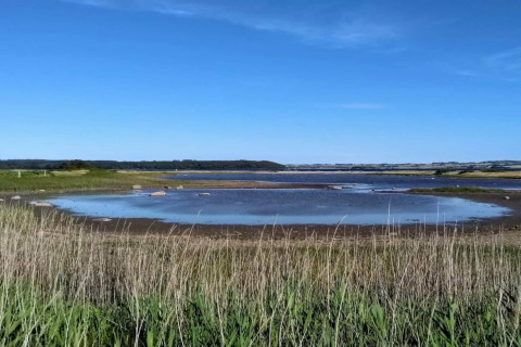 Beeld van ondiepe vijver en grasland onder blauwe hemel bij 4-sterren vakantiehuis in Rønde, Denemarken.