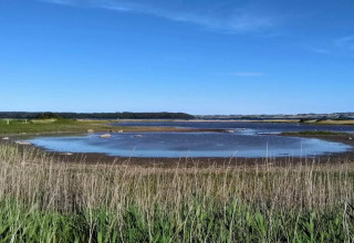 Scenic view of shallow lake and grassy fields with blue sky from 4 star holiday home in Rønde, Denmark.