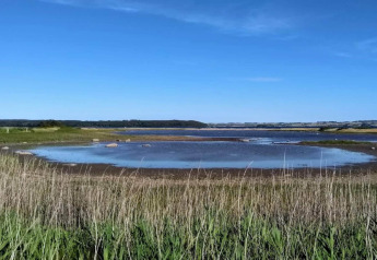 Vista de un lago poco profundo y campos verdes con cielo azul desde casa vacacional en Rønde, Dinamarca.