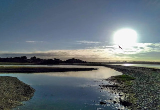 Lever du soleil sur un lac paisible avec un oiseau près d'une maison de vacances 4 étoiles à Rønde, Danemark.