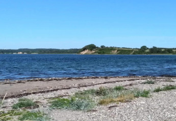 Vista sull’acqua e spiaggia naturale dalla casa vacanza 4 stelle a Rønde, Danimarca, cielo sereno.