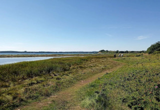 Naturweg am Wasser nahe einem 4-Sterne-Ferienhaus in Rønde, Dänemark, unter klarem Himmel.