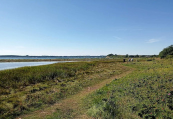 Natursti ved vandet nær 4-stjernet feriehus i Rønde, Danmark, under en klar blå himmel.