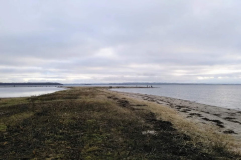 Kustzicht nabij ‘4 sterren vakantiehuis in Rønde’, Denemarken, met strand, zee en grijze lucht.