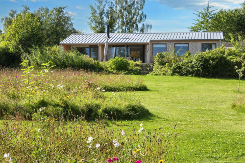 En 4-stjernet feriebolig i Rønde, Danmark, omgivet af grønt græs og vilde blomster på en solrig dag.