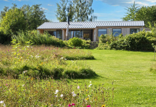 4-sterren vakantiehuis in Rønde, Denemarken, met uitgestrekte bloemenweide en groene grasmat in de zon.