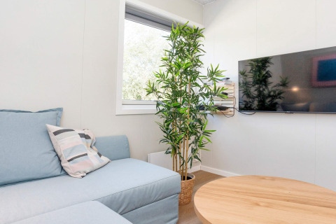 Soggiorno moderno con divano azzurro, cuscino decorativo, pianta in vaso, TV a parete e tavolino rotondo.