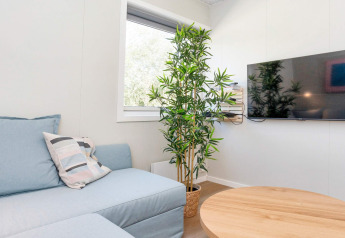 Moderne woonkamer met blauwe zetel, sierkussen, kamerplant, flatscreen-tv en ronde houten tafel.
