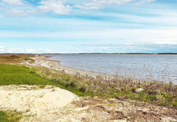 Vue paisible sur la rive du lac avec de l’herbe et du sable près d’une maison 5 étoiles à Øster Assels, Danemark.
