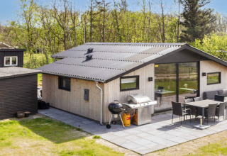 Patio esterno con barbecue presso casa vacanze 4 stelle a Løgstør, Danimarca, in ambiente naturale.