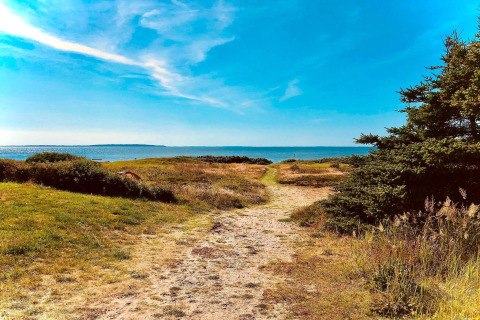 Sti gennem græs til havudsigt ved 4-stjernet feriehus i Løgstør, Danmark, under en blå himmel.